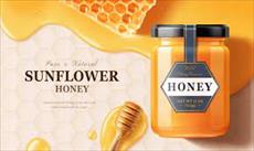 پاورپوینت تحقیقات بازاریابی و صادرات عسل