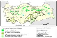 کانی شناسی و شیمی کانسارهای کرومیت جنوبی و کمربند افیولیتی ترکیه